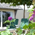 Bed and Breakfast Vijverhoef