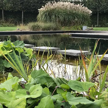 Vijverhoef Bed & Breakfast