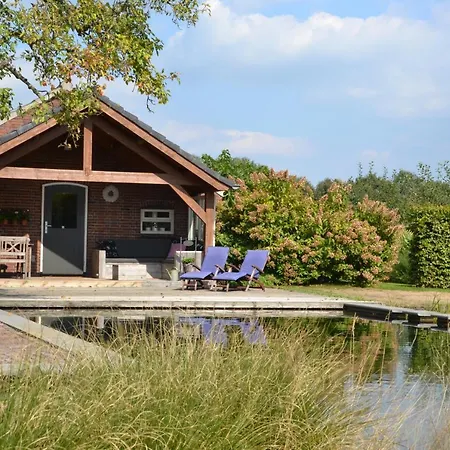 Bed and Breakfast Vijverhoef 3*