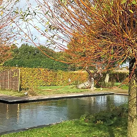 Bed and Breakfast Vijverhoef 3*