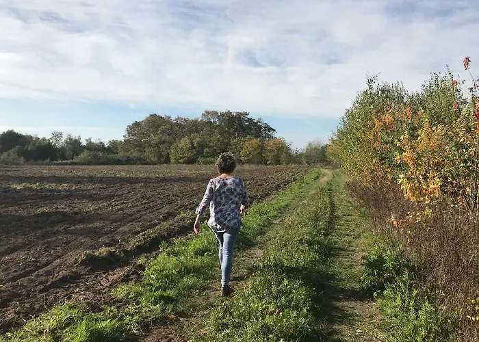 Couette-café Vijverhoef 3*