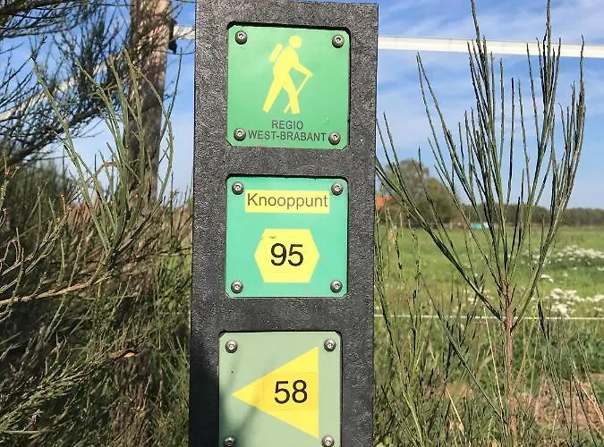 住宿加早餐酒店 Vijverhoef 3*