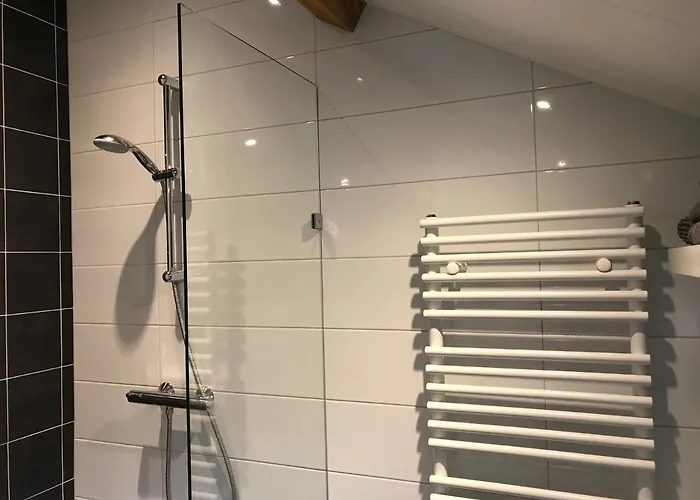 住宿加早餐酒店 Vijverhoef