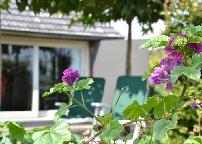 לינה וארוחת בוקר Vijverhoef