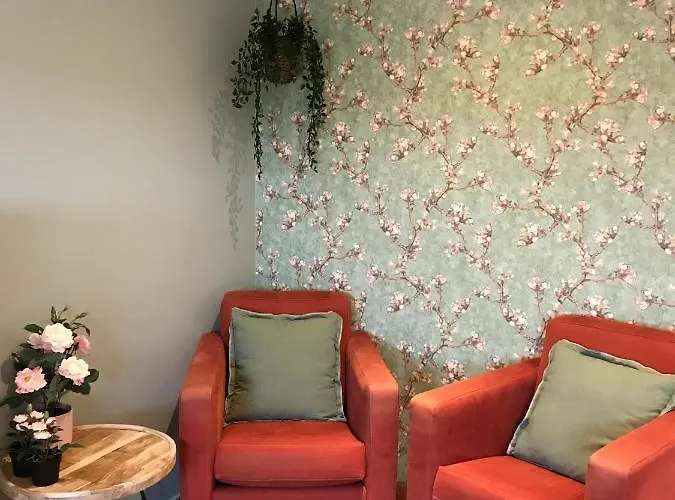 住宿加早餐酒店 Vijverhoef