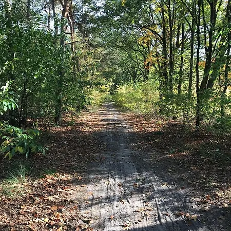 Vijverhoef 3* Ulicoten