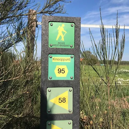 Bed & Breakfast Vijverhoef 3*