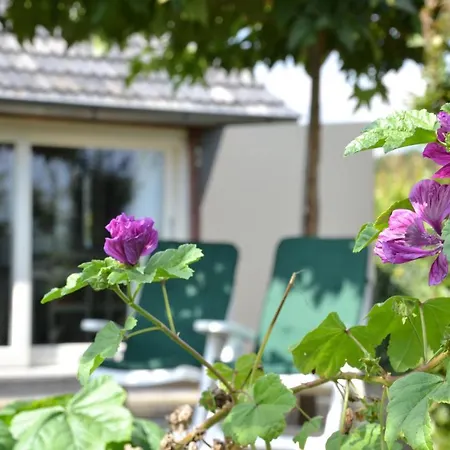 Bed & Breakfast Vijverhoef