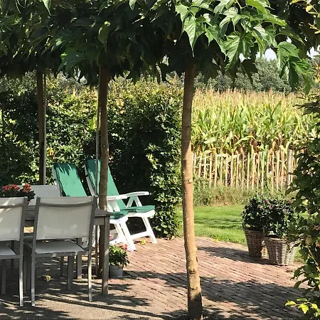 Bed & Breakfast Vijverhoef 3*