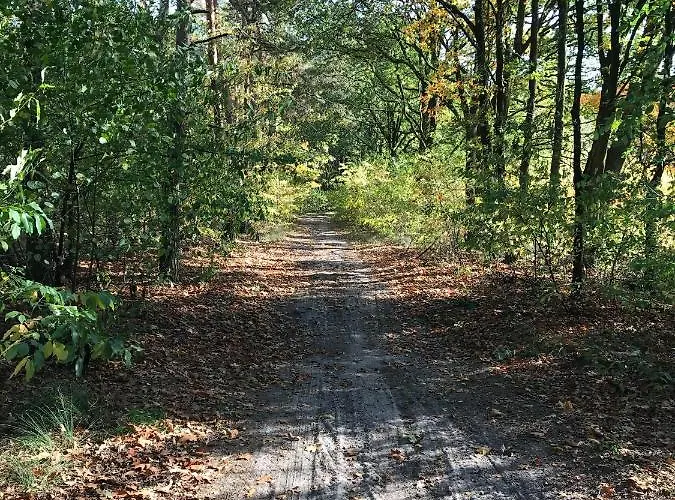 Vijverhoef 3* Ulicoten